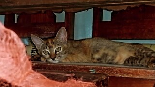 Saved for later. 🧶