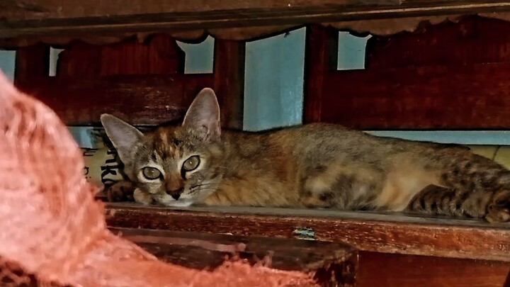 Saved for later. 🧶