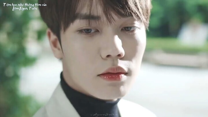 [𝑷𝒉𝒊𝒎] Người mà em thích chính là anh, trước kia, bây giờ và sau này cũng là anh 🍃...| 原来我很爱你