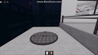 shimmer & shine ccccc