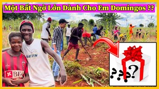 Quang Dũng || Điều Khiến Em Domingos Không Thể Tin Được Là Sẽ Xảy Ra Với Mình ???