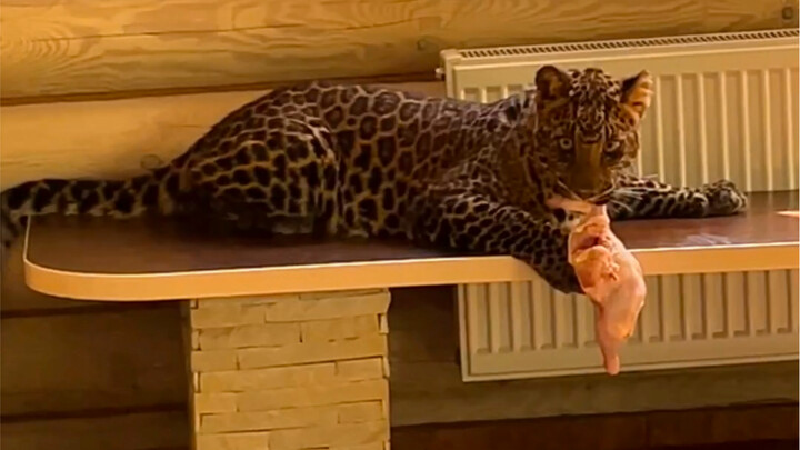 A Day When I’m Not Hungry