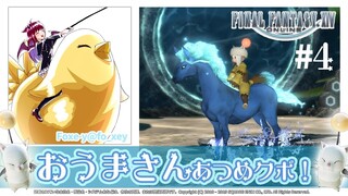 【FF14】おうまさんあつめるのだ！【極リヴァ】