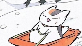 猫咪就是猫咪