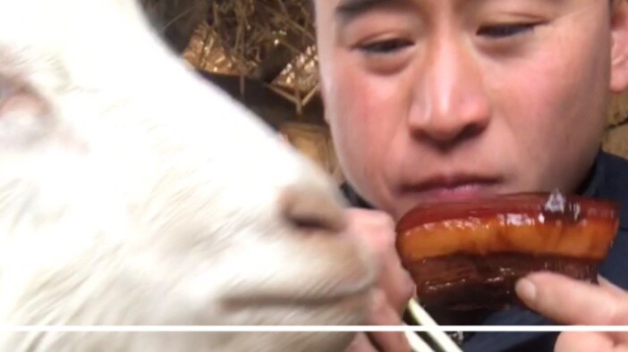 My old greedy man eats everything, hahaha