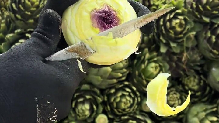 So, what should I eat?