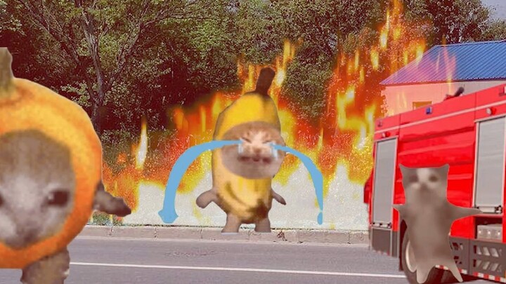 Cats went to put out the fire today, and Banana Cat did a great job!