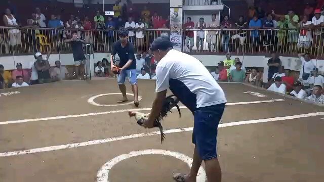 Popeye/melsims grey cross W