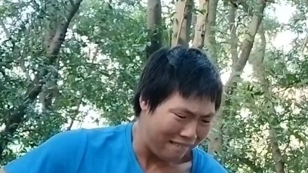 Norwegian Wood