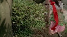 特捜戦隊デカレンジャー：第31話