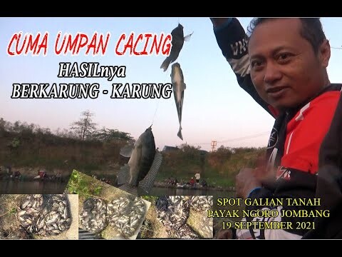 CUMA UMPAN CACING HASILNYA BERKARUNG KARUNG SPOT MANCING PAYAK NGORO JOMBANG