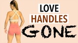 STANDING LOVE HANDLES WORKOUT | LOVE HANDLE EXERCISES | NO EQUIPMENT QUICK EXERCISE AT HOME