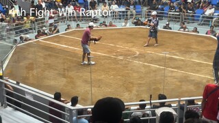 6 Stag Derby Finals CHAMPION