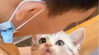 Astaga! Kucing ini pintar sekali!