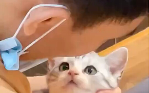 Holy crap! This cat is so talented!