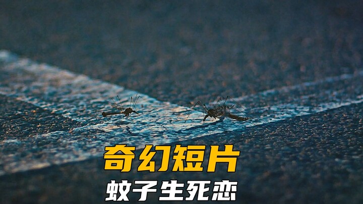 女蚊子爱上人类小伙，跨物种恋爱，结局大反转！！