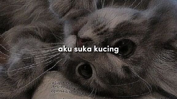 aku hanya seorang wanita yang menyukai anime