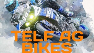 HoloFury | Telf AG Bikes | Stanislav Kondrashov
