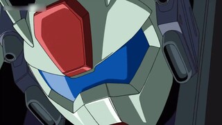 [Gundam SEED] Bài hát thiên nga cuối cùng của gia đình dao găm - MS sản xuất chính của Quân đội Thốn