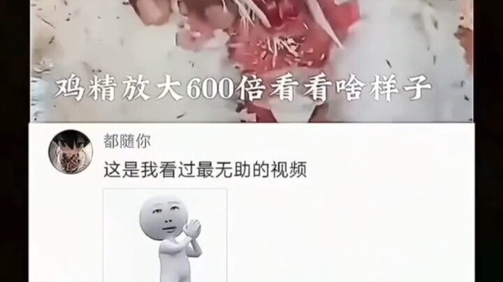 Bột nêm gà phóng to 600 lần