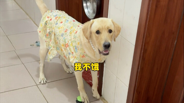 Dán nút bắt đầu ăn xuống dưới bàn