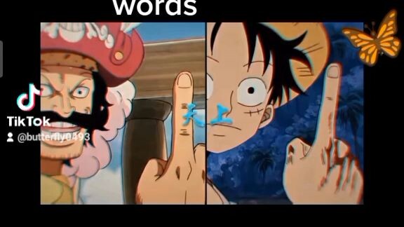 roger and luffy