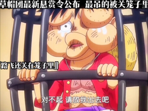 草帽团悬赏令公布后，最吊的被关笼子里！