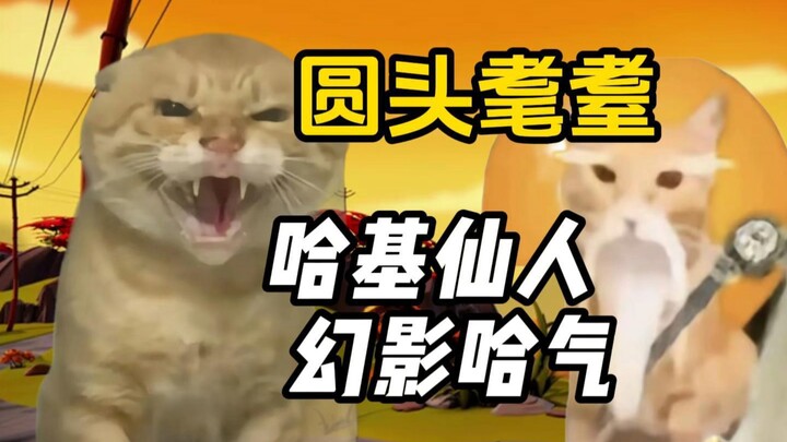 哈基米人物志之圆头