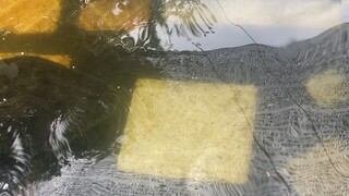在我们的人生中，唯一不变的，就是什么都在变。人生需要一些苦难，才能激发自己抵御逆境的潜力。不论我们身处什么环境、遇到什么挫折，与其一味地抱怨，还不如静下来调伏自心。因为认识人生之苦，才能找到幸福。—