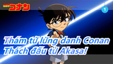 Thám tử lừng danh Conan|Thư thách đấu từ Akasa!!Akasa VS Đội Thám tử nhỏ_B