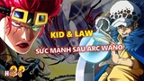Kid và Law: Quá khứ, sức mạnh và vai trò sau arc Wano