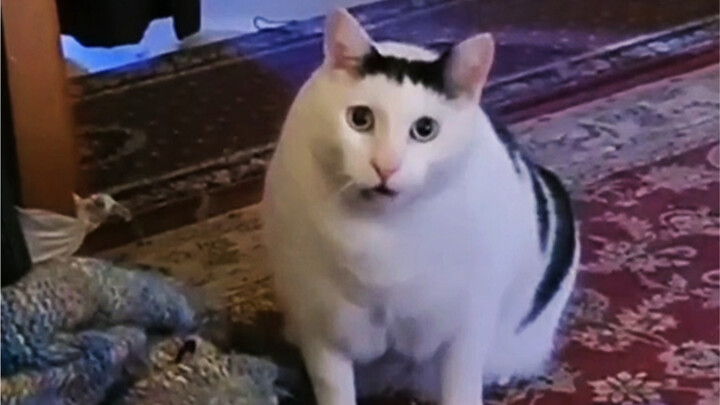 ยิ้มทุกวัน แล้วลาก่อนความกังวล!