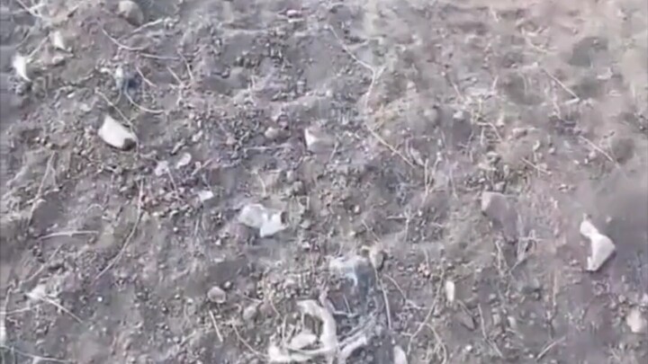 "يوميات مجنون"