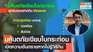 มหันตภัยเงียบใบกระท่อม  เปิดความอันตรายหากไม่รู้วิธีกิน | TNN ข่าวเย็น | 04-02-22