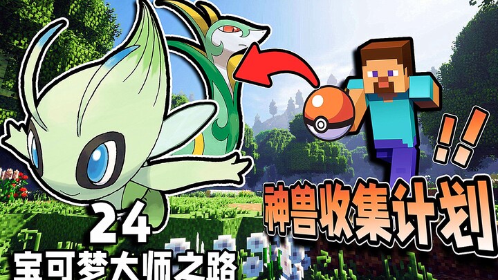 Kế hoạch thu thập thần thú! [Con đường Đại sư Pokémon 24]