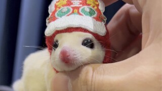 I've got a hidden weapon now~biu~