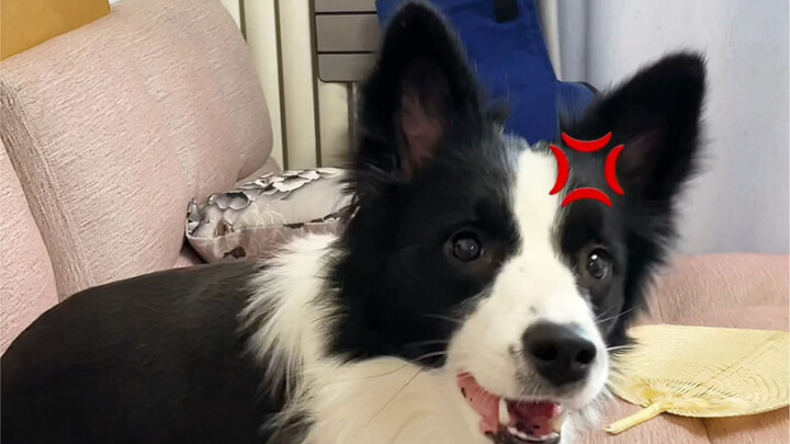 What is this called? This is called “jumping back and forth”～