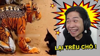 300 TẤN MUỐI ĐÃ ĐƯỢC CHO VÀO VIDEO NÀY !!! (Pobbrose TTCC) ✔
