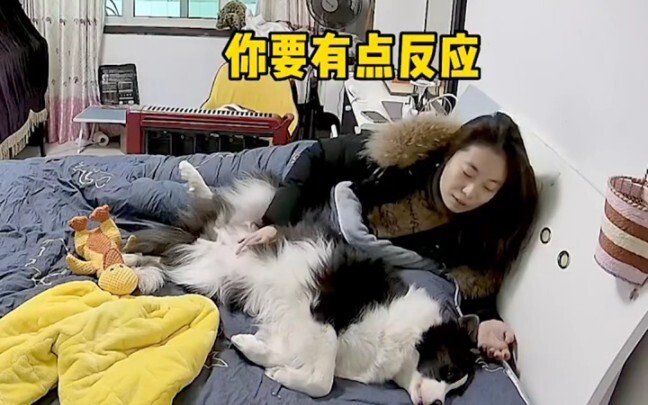 Kondisi mental si empunya: Anjing: Sebenarnya dari kalimat mana ya mulai nggak cinta lagi? #Menggema