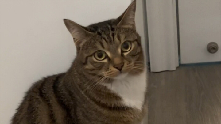 Little kids, don't ask so many questions!