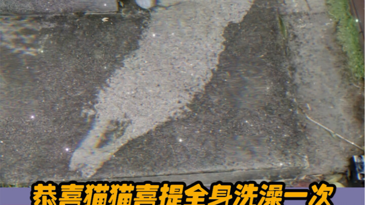 What incredibly precise localized rainfall!