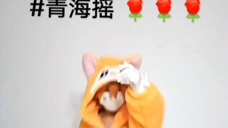 排球摇子