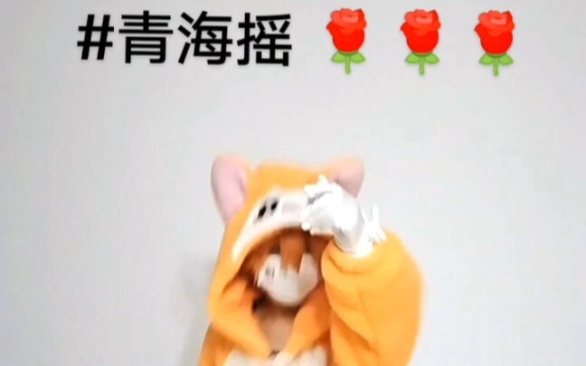 排球摇子