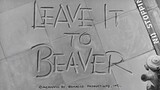Leave It to Beaver 1958 S01E19 "The Bank Account"  an American television situation comedy