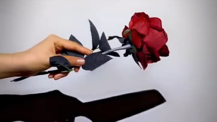 Nhiếp ảnh sáng tạo - Tình yêu đau khổ