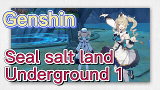 Seal salt land Underground 1