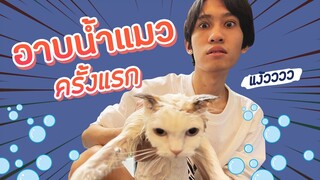 กิตงาย กับการอาบน้ำแมวครั้งแรกในชีวิต !