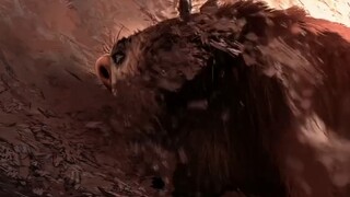 Đừng để ánh mắt của thế tục chi phối, quá trình còn đẹp hơn cả kết quả!