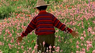 "Pemandangan puitis dan komposisi warna melalui lensa film Iran"
