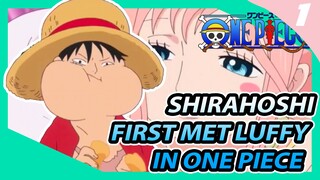 SHIRAHOSHI FIRST MET LUFFY IN ONE PIECE